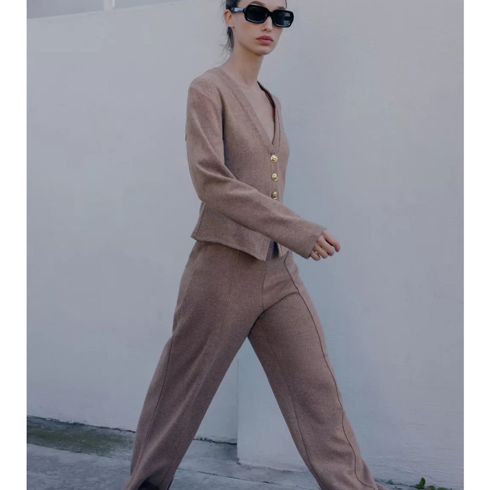 Zara Women's Wide Leg Tan Pants